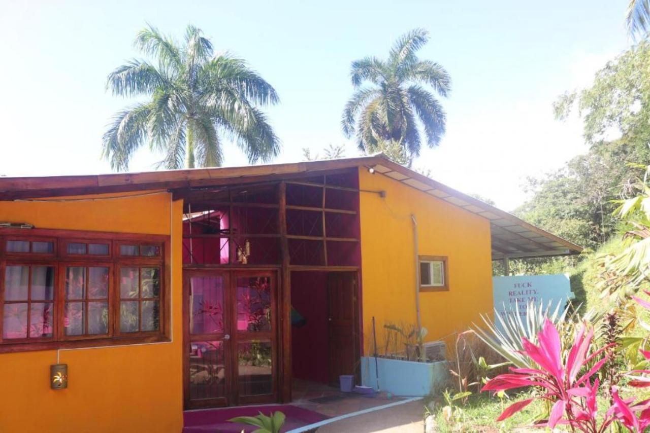 Planet B Hostel - Adults Only Vườn quốc gia Vườn quốc gia Manuel Antonio Ngoại thất bức ảnh
