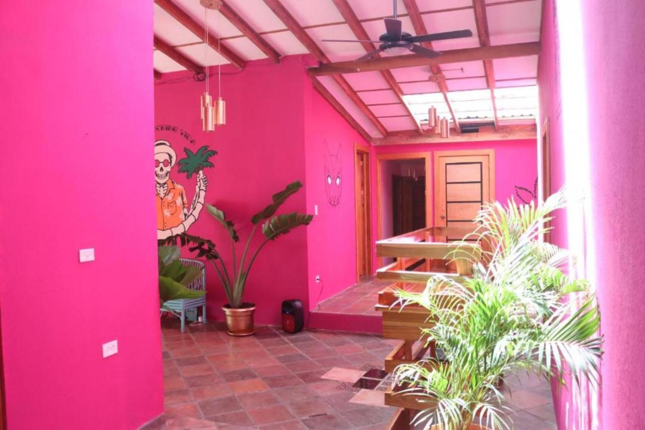 Planet B Hostel - Adults Only Vườn quốc gia Vườn quốc gia Manuel Antonio Ngoại thất bức ảnh