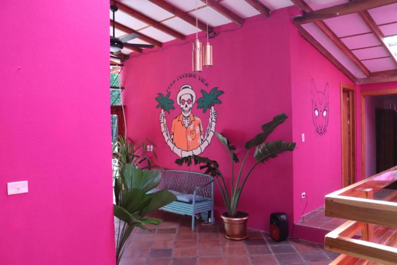 Planet B Hostel - Adults Only Vườn quốc gia Vườn quốc gia Manuel Antonio Ngoại thất bức ảnh